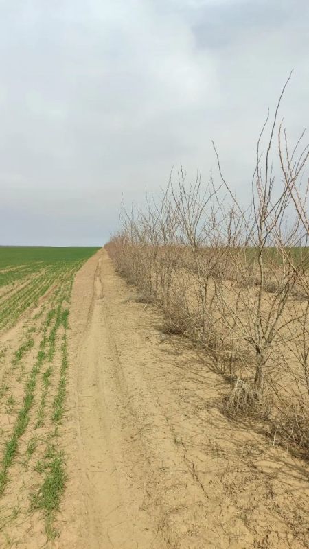 Край на страже плодородия земель! Край на страже плодородия земель!