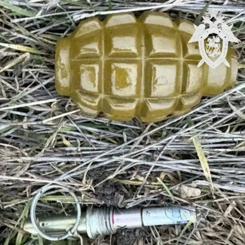 Подросток нашёл боевую гранату и вместе с другом спрятал её в парке Нефтекумска — уголовное дело направлено в суд