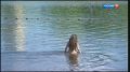 Лето в разгаре, а вместе с ним и сезон повышенного риска