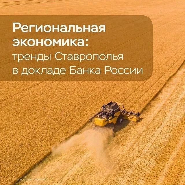 Аналитики Банка России отмечают, что в мае потребительская активность жителей южного макрорегиона охладилась