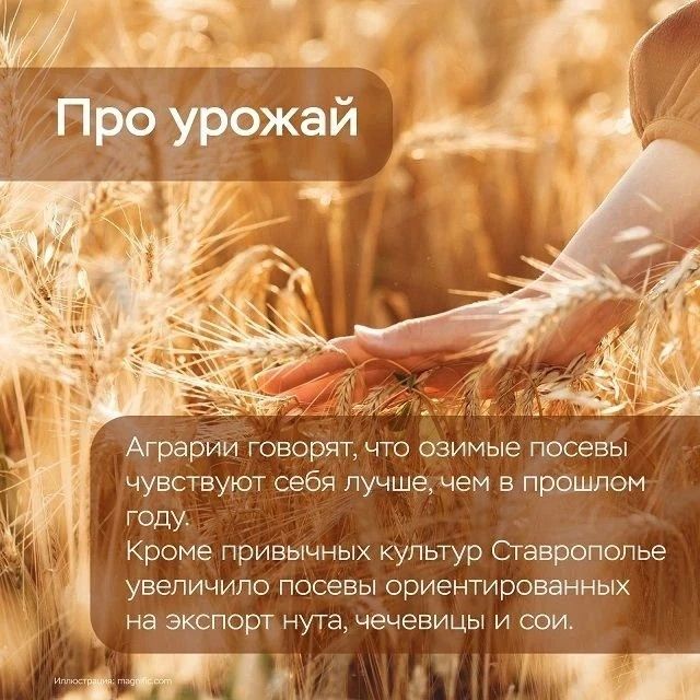 Аналитики Банка России отмечают, что в мае потребительская активность жителей южного макрорегиона охладилась Аналитики Банка России отмечают, что в мае потребительская активность жителей южного макрорегиона охладилась