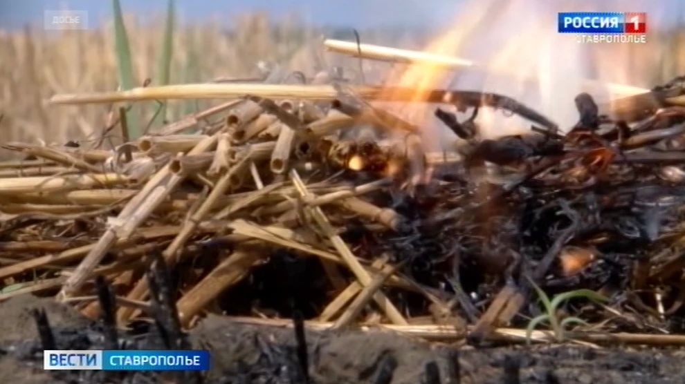 Чрезвычайная пожароопасность объявлена на Ставрополье