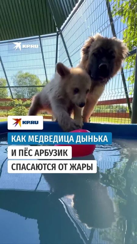 Вот, как выглядят настоящие каникулы!