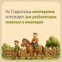 На Ставрополье для реабилитации пожилых людей и инвалидов используют иппотерапию