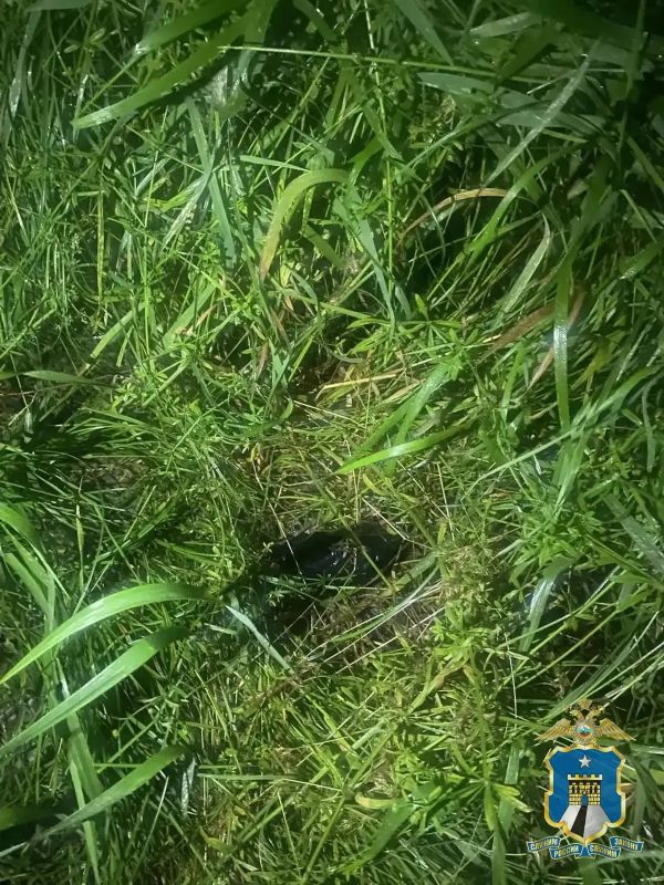 На Ставрополье полицейские предотвратили попытку сбыта крупной партии «синтетики» На Ставрополье полицейские предотвратили попытку сбыта крупной партии «синтетики»