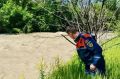 ������ �� ����� ����� ����: ��� �������� � ������� ��������� � ���������� �������
