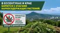 � ���������� � ���� ������� � ������� ��������������� ��������