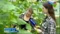 Жители Ставрополья развивают свое дело с помощью соцконтракта
