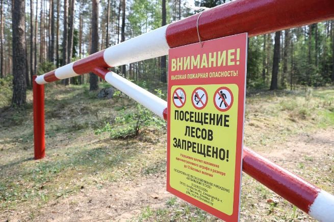 Внимание! Введены «лесные» ограничения