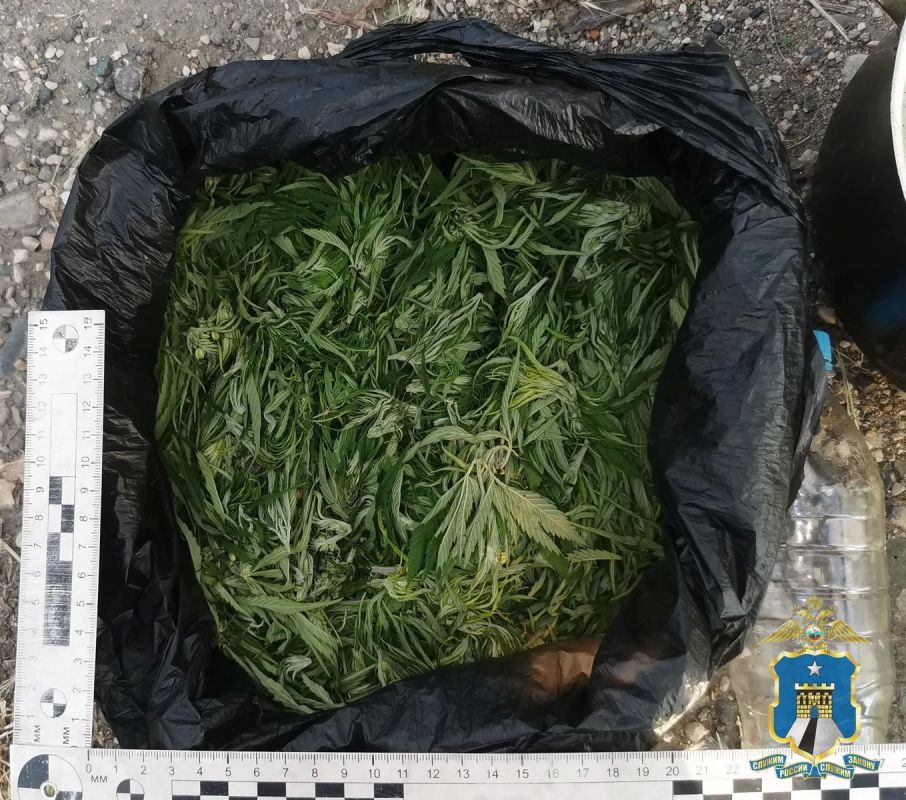 Полицейские Кировского округа выявили факт незаконного хранения марихуаны местным жителем Полицейские Кировского округа выявили факт незаконного хранения марихуаны местным жителем
