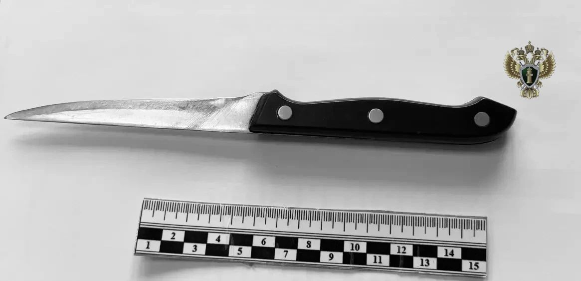 Прокуратура направила в суд уголовное дело о покушении на убийство женщины Прокуратура направила в суд уголовное дело о покушении на убийство женщины