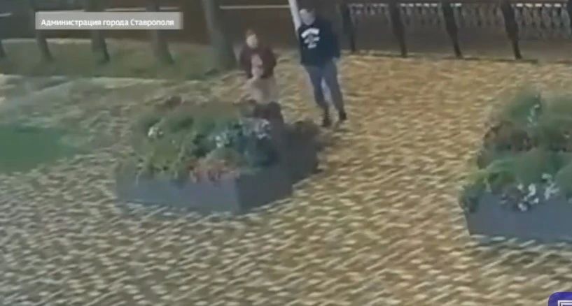 Злоумышленники, неоднократно похищавшие с городских клумб зеленые насаждения, задержаны