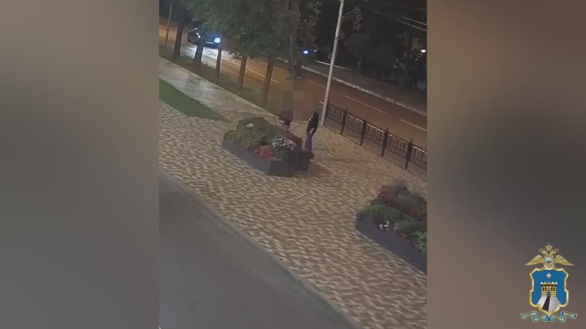 Установлена личность мужчины, похитившего растения из вазонов в центре города Ставрополя