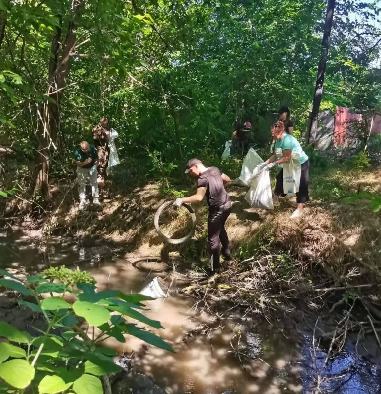 На Ставрополье усилят очистку берегов рек и водоёмов На Ставрополье усилят очистку берегов рек и водоёмов