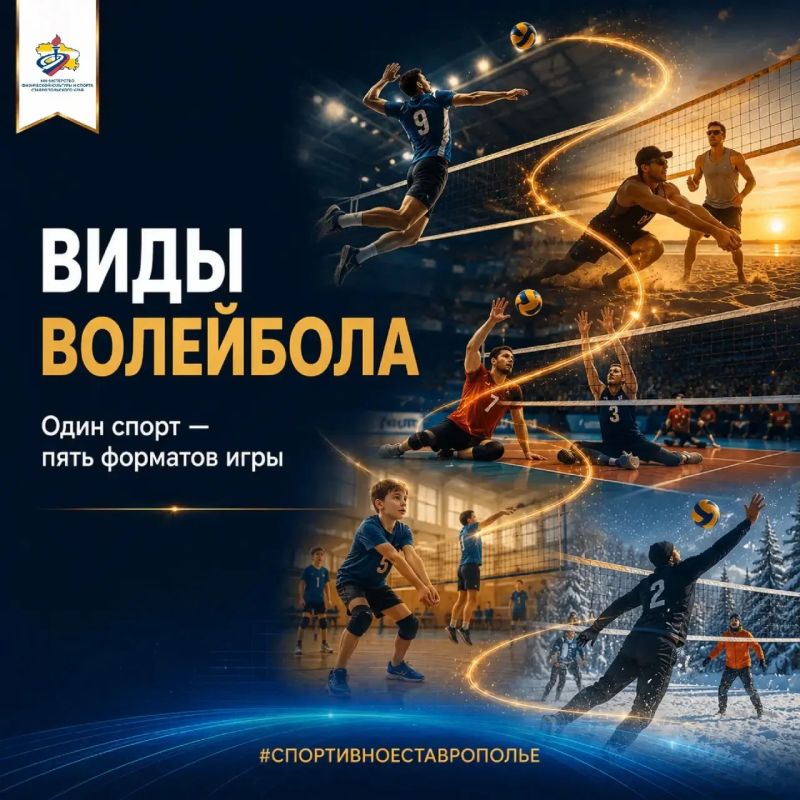 Стартует неделя волейбола! Стартует неделя волейбола!