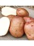 Евпатий: универсальный картофель с высоким потенциалом