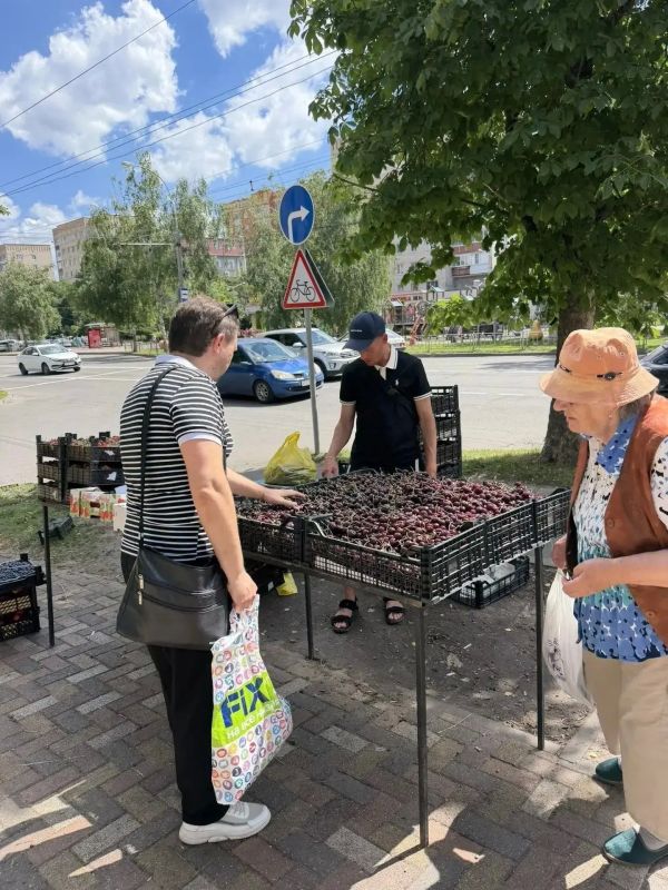 Более 580 протоколов составили за незаконную уличную торговлю в Ставрополе Более 580 протоколов составили за незаконную уличную торговлю в Ставрополе