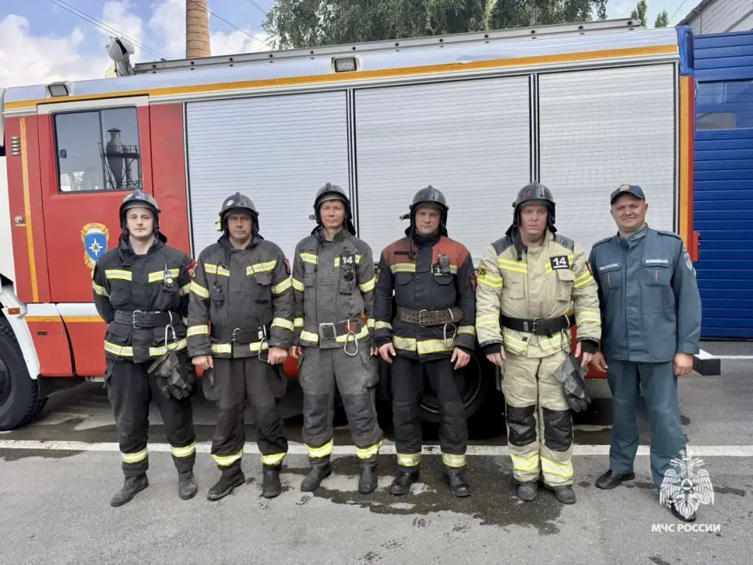Огнеборцы МЧС Ставрополья спасли девушку и ее кота на пожаре Огнеборцы МЧС Ставрополья спасли девушку и ее кота на пожаре