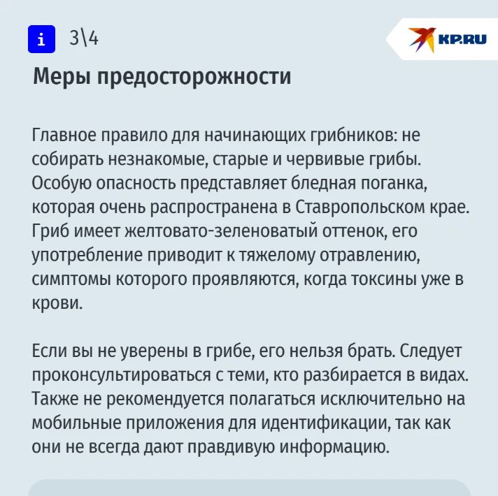 Лисички, опята и даже редкие трюфели: рассказываем, где искать и как не отравиться грибами на Ставрополье Лисички, опята и даже редкие трюфели: рассказываем, где искать и как не отравиться грибами на Ставрополье