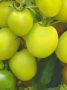 Томат Коктейль Мохито: свежий взгляд на вкусные традиции