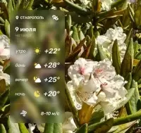 Доброе утро!. Погода сегодня обещает быть жаркой