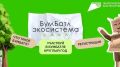 «БумБатл» стучится в наши двери!