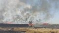 Пожарные спасли 20 гектаров пшеничного поля в Нефтекумском округе