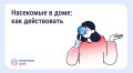 Госжилинспекция Ставрополья: Что делать, если в доме завелись насекомые