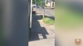 ����� ����� ��������� �������� ���������� ���������������� ����������� � ������ ���������������� �������� ���������� ������