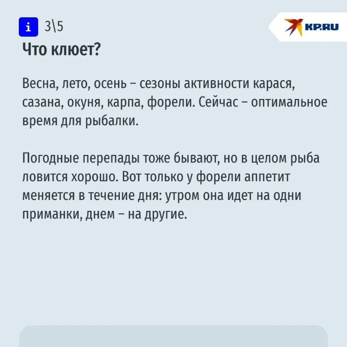 Рыбацкий пост: рассказываем, где на Ставрополье лучше всего клюет Рыбацкий пост: рассказываем, где на Ставрополье лучше всего клюет