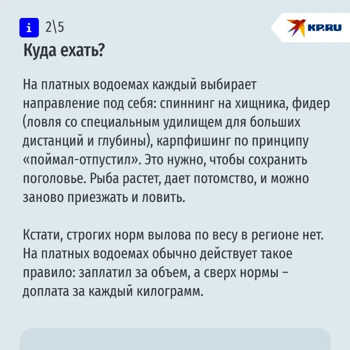 Рыбацкий пост: рассказываем, где на Ставрополье лучше всего клюет Рыбацкий пост: рассказываем, где на Ставрополье лучше всего клюет