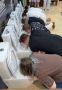 Милонов предрек появление в России полиции нравов для наказания «участников скотских конкурсов»