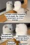 Что выгодно купить прямо сейчас?