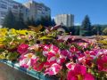 Доброе утро, Ставрополь!. Прогноз погоды на понедельник, 20 июля: температура воздуха +29