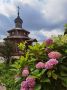 Доброе утро. Катерина Куликова
