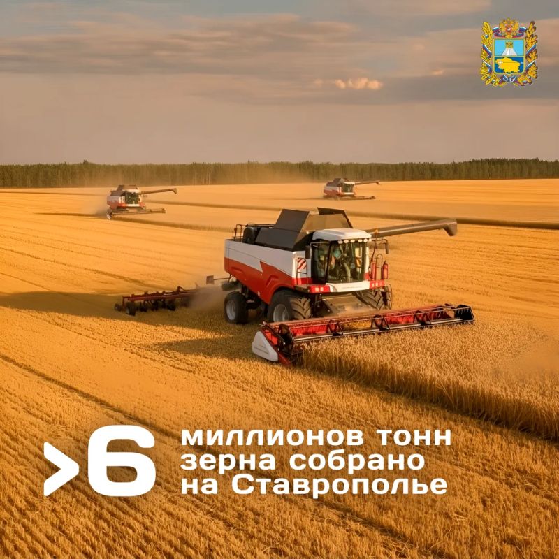 Ставропольские труженики уже собрали более 6 миллионов тонн зерна