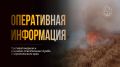 В Ставрополе по улице Коломийцева произошел пожар на территории бывшего «Сажевого завода»