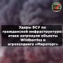 ������ ������ ���: ����� �� Wildberries, ���������� � ������� ���