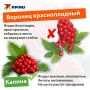Как отличить съедобные ягоды от смертельно опасных