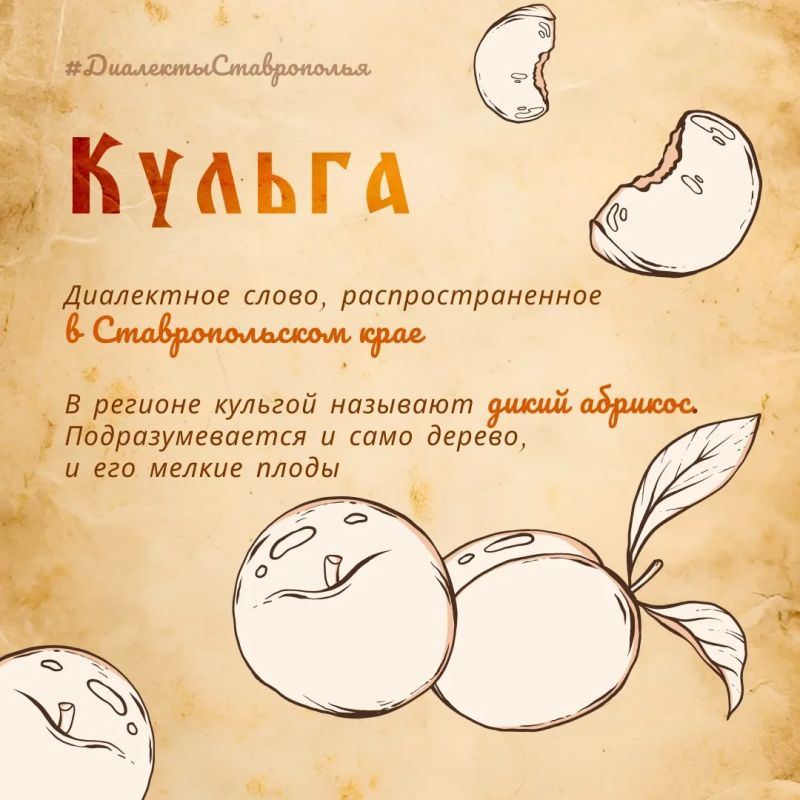 Вы знаете, что такое «кульга»?