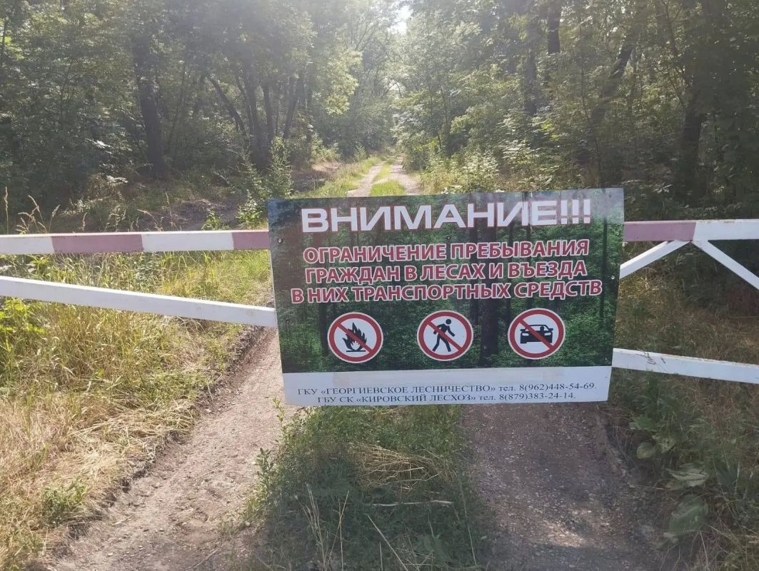 Внимание! «Лесные» ограничения продлены
