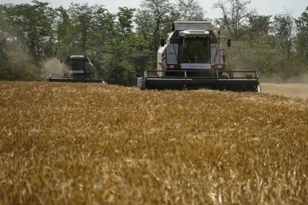 Уборка зерновых на Ставрополье подходит к завершению
