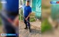 � ���� ������� ����������� �������� ����