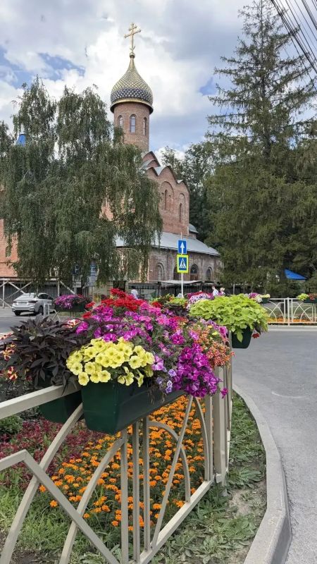 Этим летом Ставрополь стал еще ярче, специалисты «Горзеленстроя» украсили улицы города подвесными цветочными композициями Этим летом Ставрополь стал еще ярче, специалисты «Горзеленстроя» украсили улицы города подвесными цветочными композициями