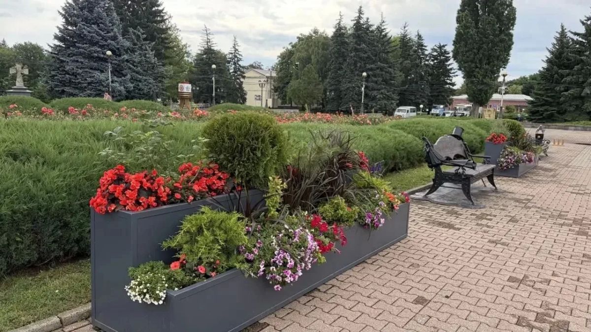 Этим летом Ставрополь стал еще ярче, специалисты «Горзеленстроя» украсили улицы города подвесными цветочными композициями Этим летом Ставрополь стал еще ярче, специалисты «Горзеленстроя» украсили улицы города подвесными цветочными композициями