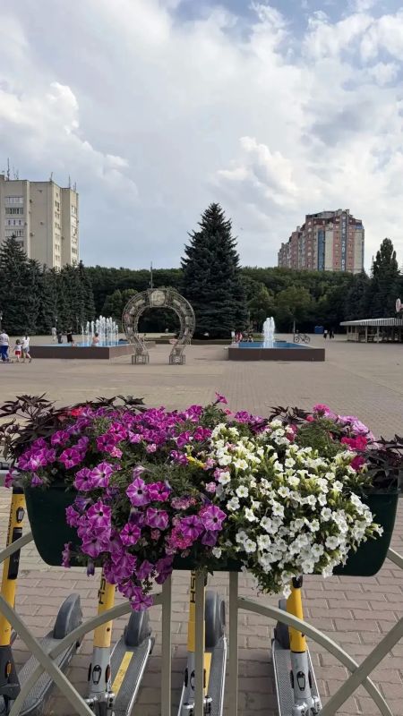 Этим летом Ставрополь стал еще ярче, специалисты «Горзеленстроя» украсили улицы города подвесными цветочными композициями Этим летом Ставрополь стал еще ярче, специалисты «Горзеленстроя» украсили улицы города подвесными цветочными композициями