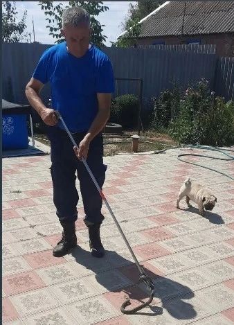 Змеи продолжают наведываться к жителям Ставрополья