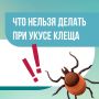 ������ ���� � ��� ������. ������ ����� � �� ���������� � �� ��������� ��������, ������� ����� ���� ��������� ����� ������������