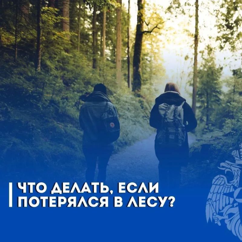 Все в поход!. Но прежде чем выйти в лес, позаботься о своей безопасности и изучи, что делать, если ты потерялся