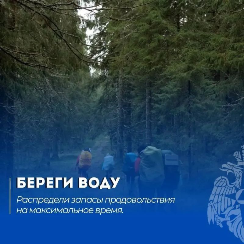 Все в поход!. Но прежде чем выйти в лес, позаботься о своей безопасности и изучи, что делать, если ты потерялся Все в поход!. Но прежде чем выйти в лес, позаботься о своей безопасности и изучи, что делать, если ты потерялся
